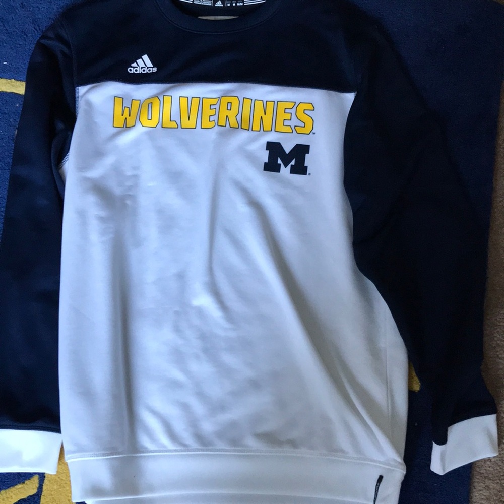 Michigan sweatshirt